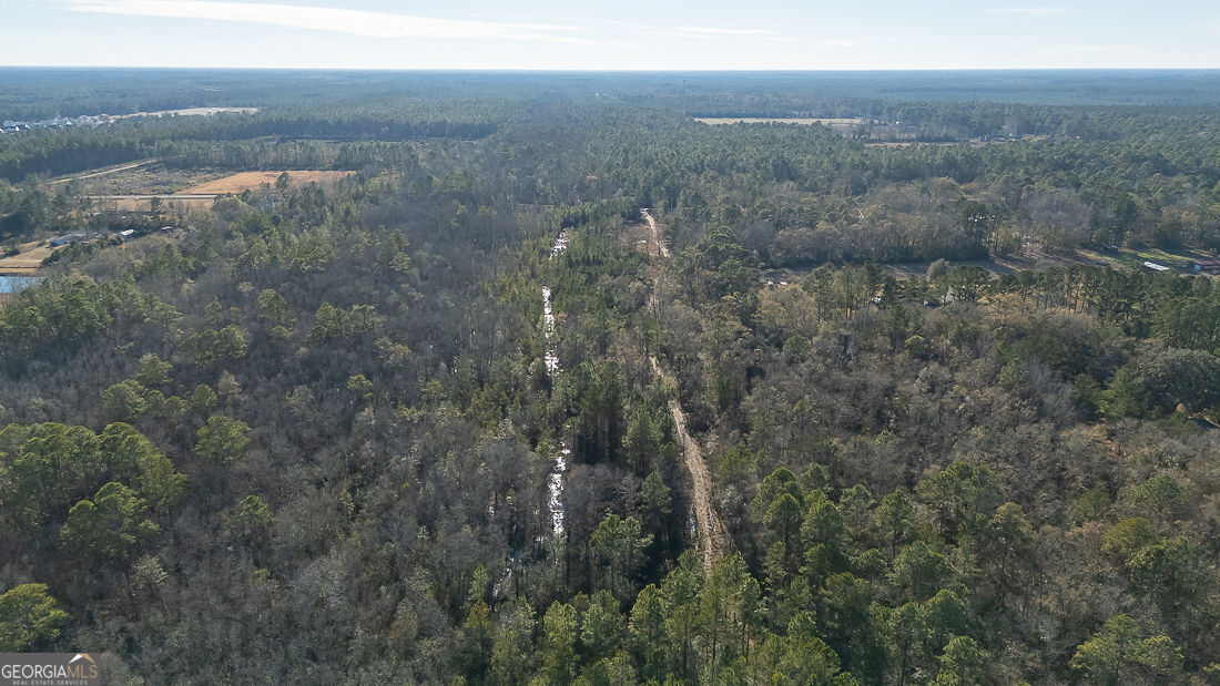 297 Horsepen Road Rincon, GA 31326 - Photo 7 of 13 a view of city and mountain
