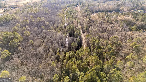 a view of a covered with green space