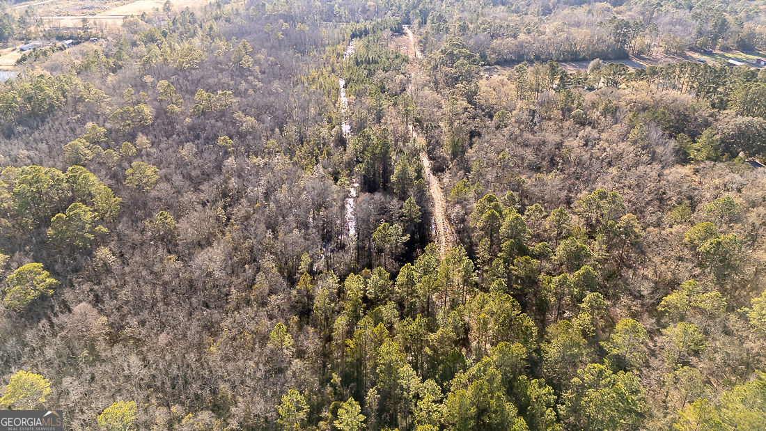 297 Horsepen Road Rincon, GA 31326 - Photo 8 of 13 a view of a covered with green space