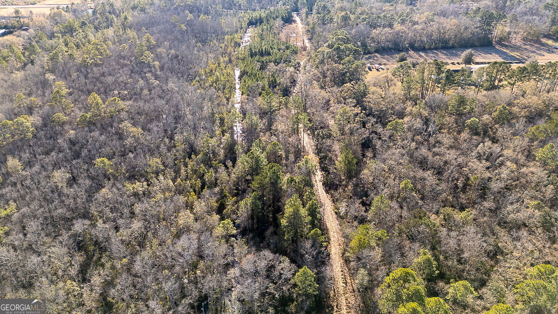 297 Horsepen Road Rincon, GA 31326 - Photo 9 of 13 a view of a forest with a tree