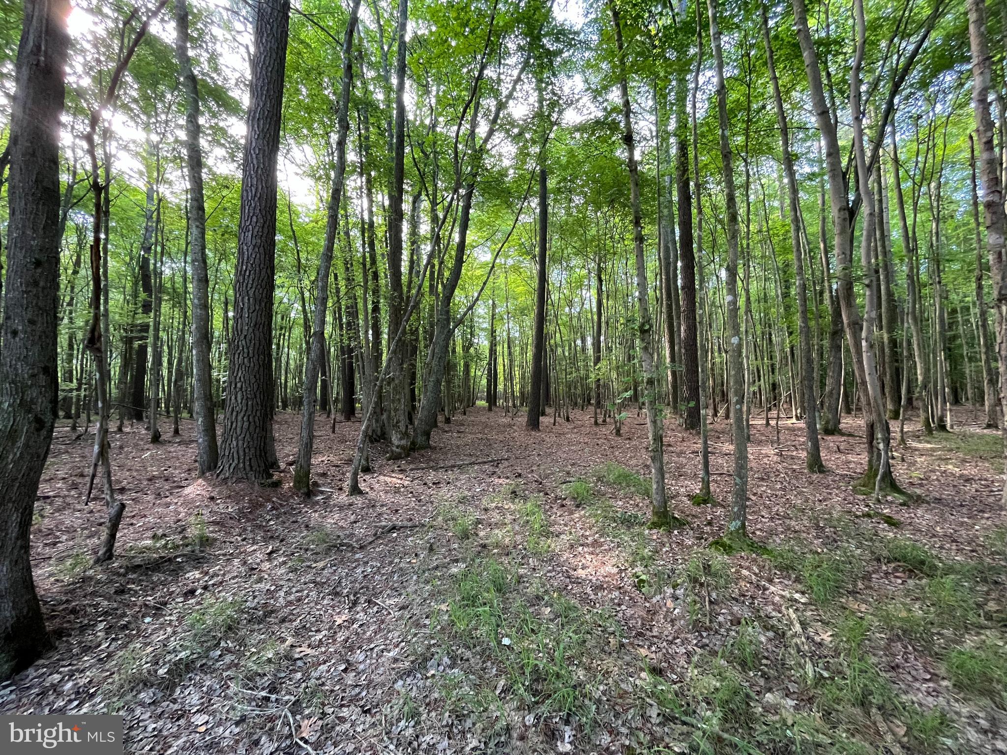 0 Stanford Road, Unit PARCEL 303 Crisfield, MD 21817 - Photo 14 of 47 Gallery Image 14