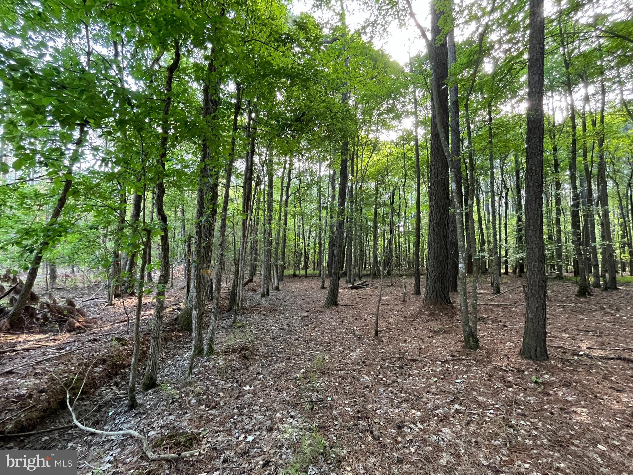 0 Stanford Road, Unit PARCEL 303 Crisfield, MD 21817 - Photo 15 of 47 Gallery Image 15