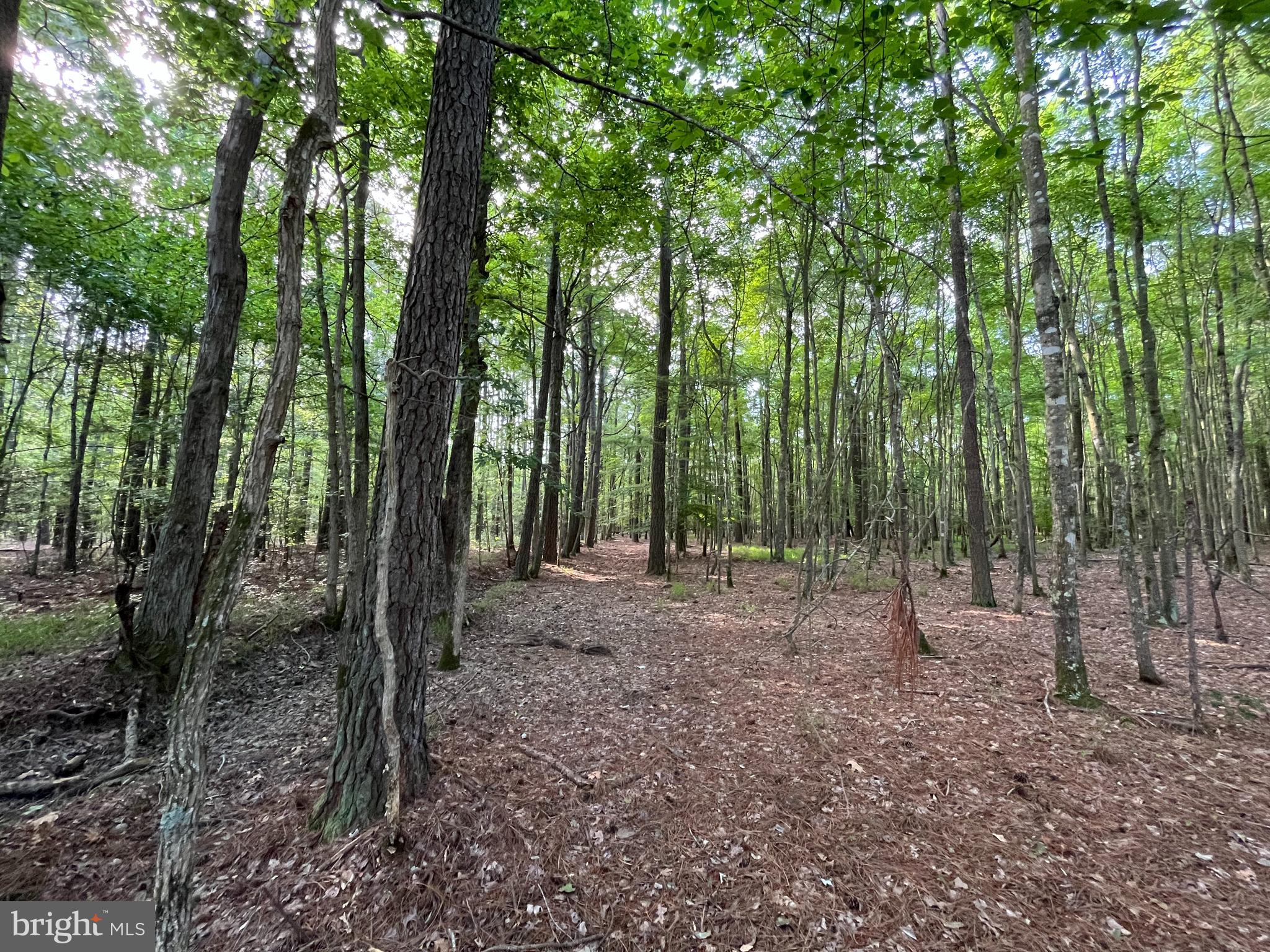 0 Stanford Road, Unit PARCEL 303 Crisfield, MD 21817 - Photo 19 of 47 Gallery Image 19