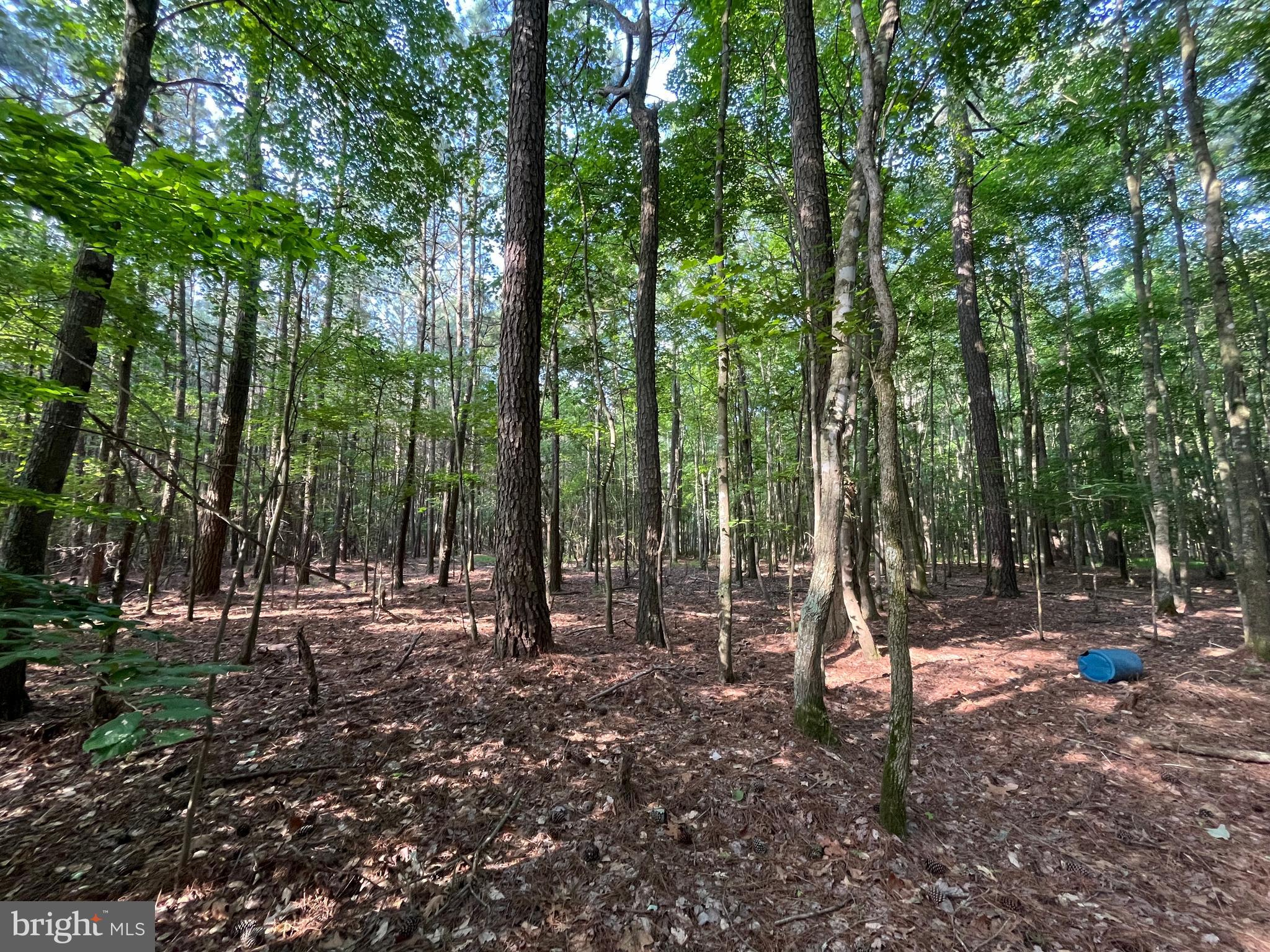 0 Stanford Road, Unit PARCEL 303 Crisfield, MD 21817 - Photo 29 of 47 Gallery Image 29