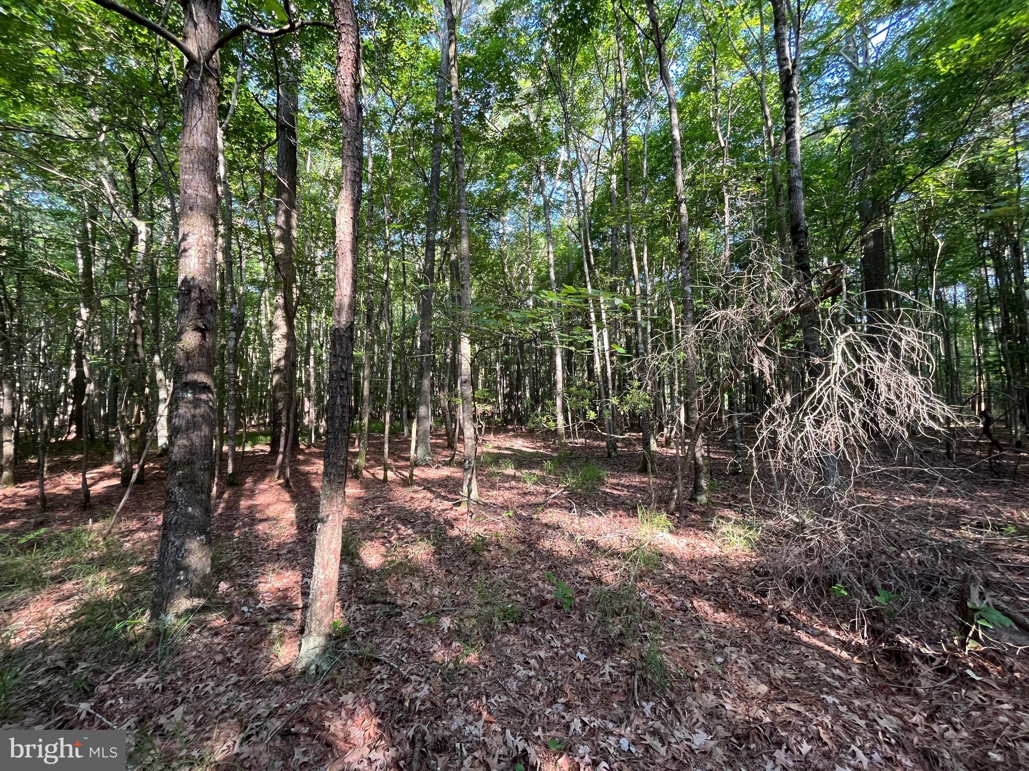 0 Stanford Road, Unit PARCEL 303 Crisfield, MD 21817 - Photo 30 of 47 Gallery Image 30