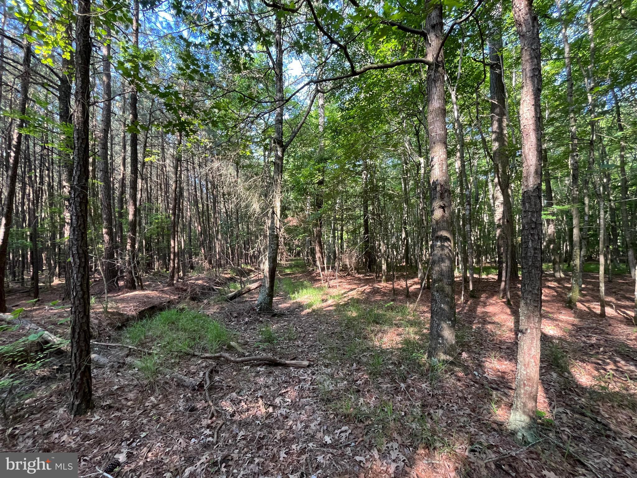 0 Stanford Road, Unit PARCEL 303 Crisfield, MD 21817 - Photo 31 of 47 Gallery Image 31