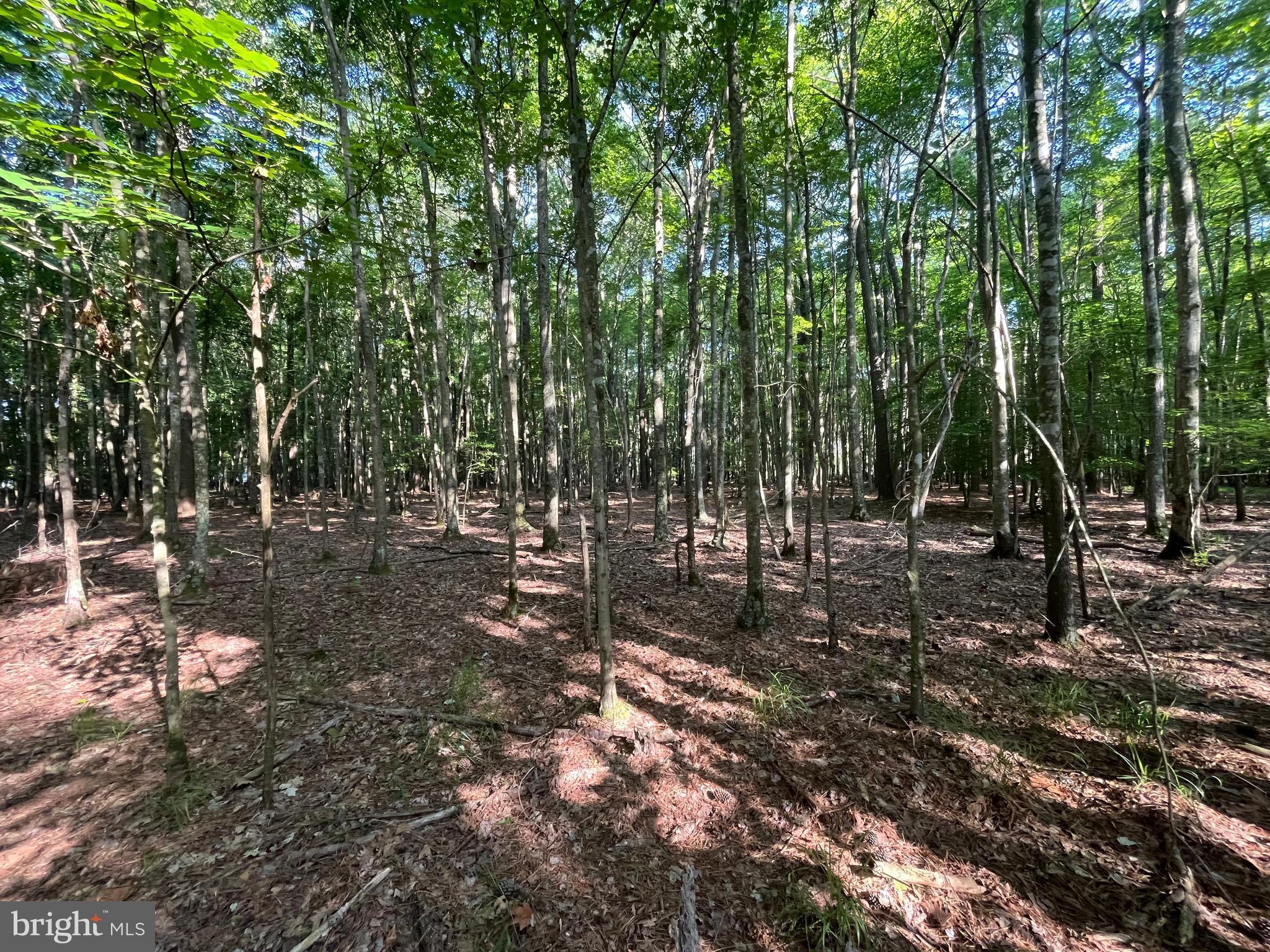 0 Stanford Road, Unit PARCEL 303 Crisfield, MD 21817 - Photo 35 of 47 Gallery Image 35