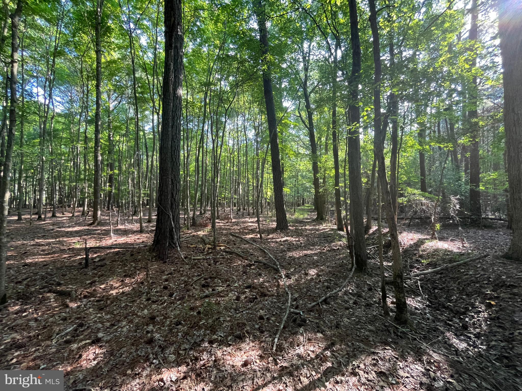0 Stanford Road, Unit PARCEL 303 Crisfield, MD 21817 - Photo 36 of 47 Gallery Image 36