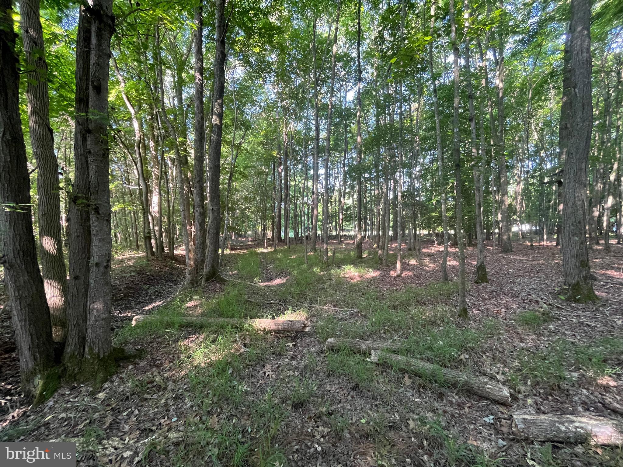 0 Stanford Road, Unit PARCEL 303 Crisfield, MD 21817 - Photo 37 of 47 Gallery Image 37