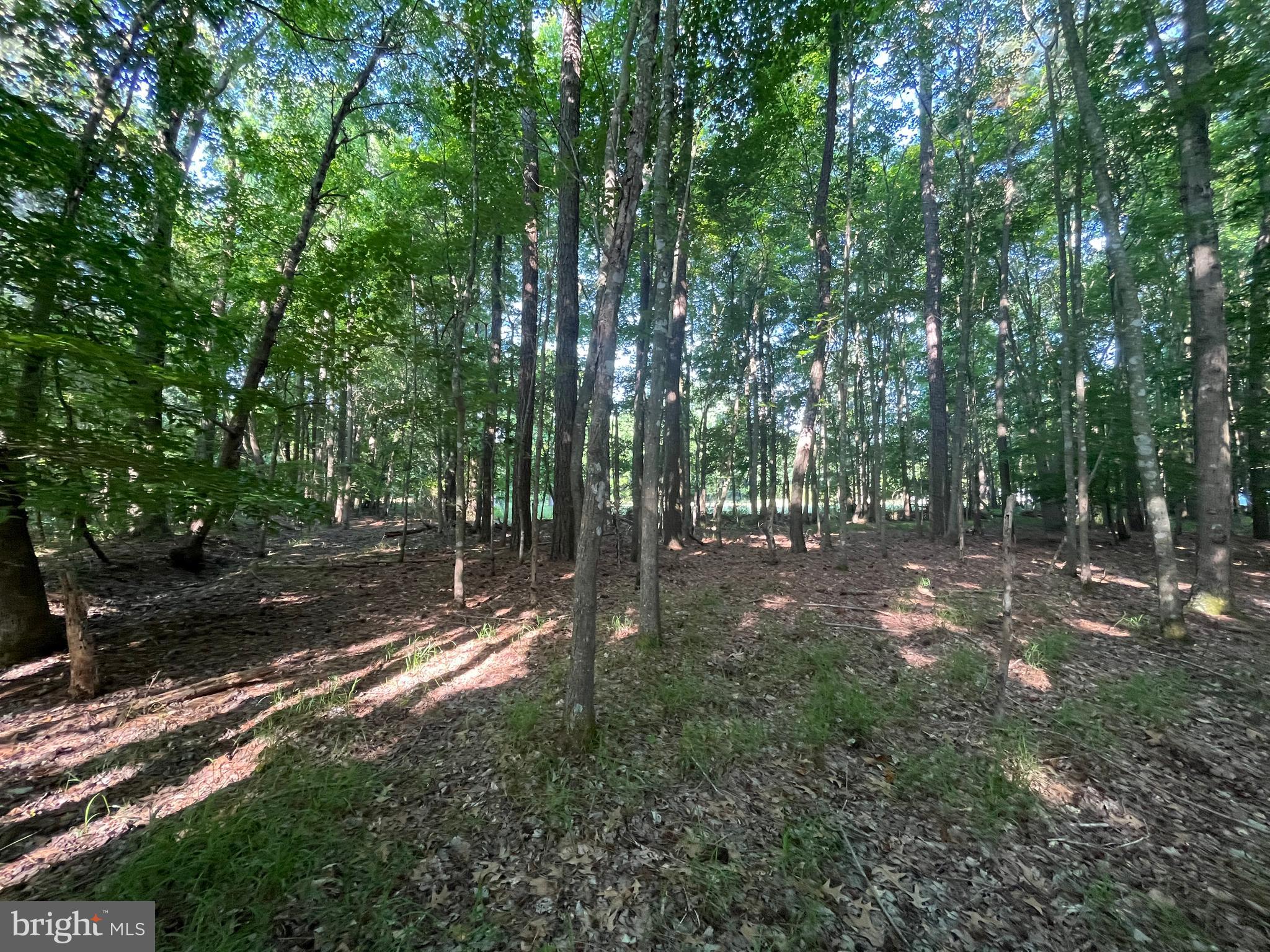 0 Stanford Road, Unit PARCEL 303 Crisfield, MD 21817 - Photo 40 of 47 Gallery Image 40