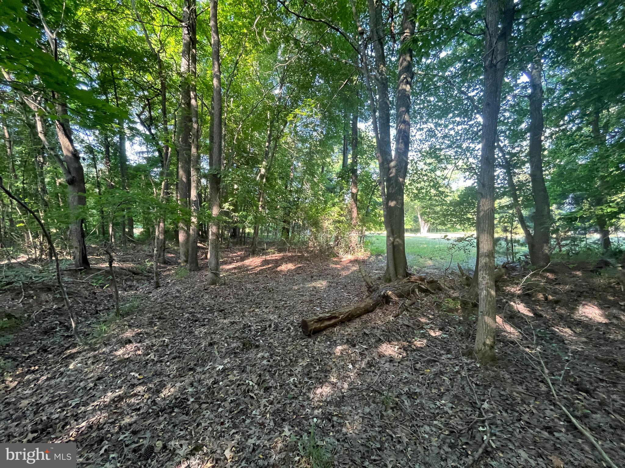 0 Stanford Road, Unit PARCEL 303 Crisfield, MD 21817 - Photo 43 of 47 Gallery Image 43