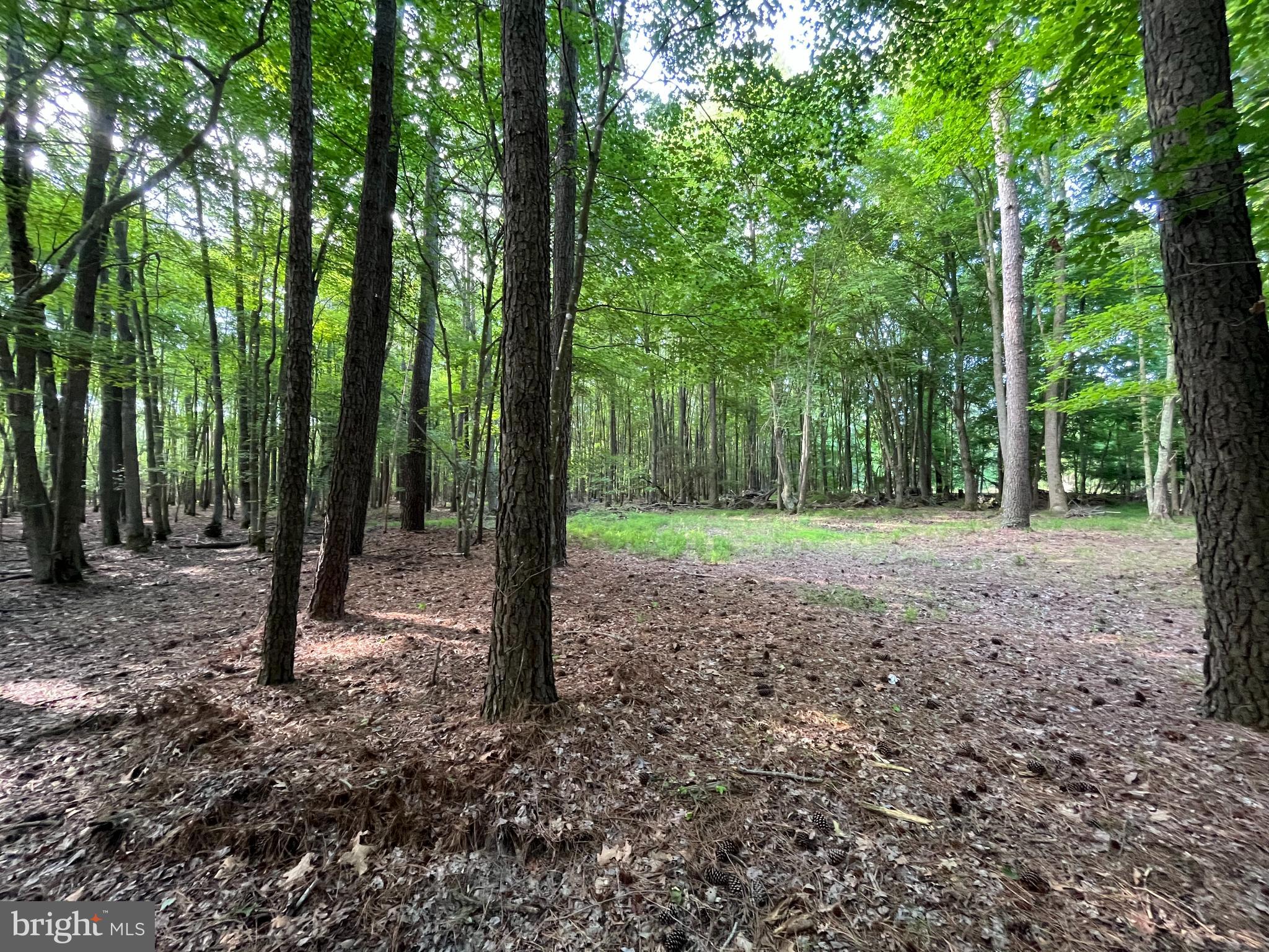 0 Stanford Road, Unit PARCEL 303 Crisfield, MD 21817 - Photo 10 of 47 Gallery Image 10