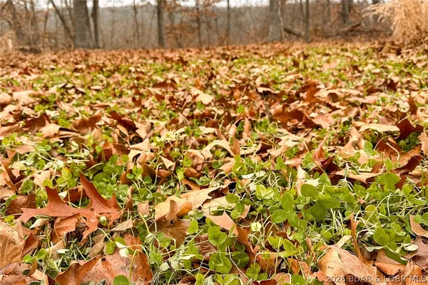 $212,000 | Tbd 46.53-ac Tbd 46.53-ac Highway, Versailles, MO 65084