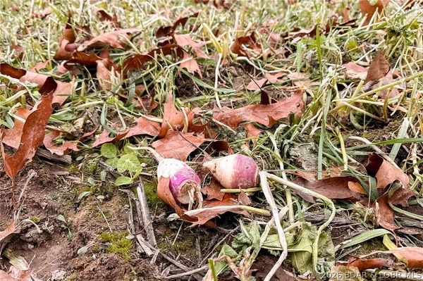 $212,000 | Tbd 46.53-ac Tbd 46.53-ac Highway, Versailles, MO 65084