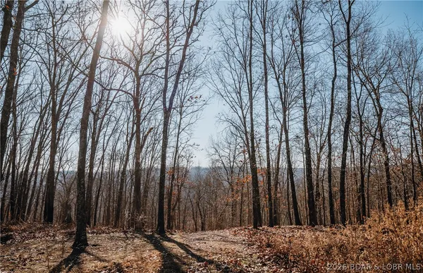 $212,000 | Tbd 46.53-ac Tbd 46.53-ac Highway, Versailles, MO 65084