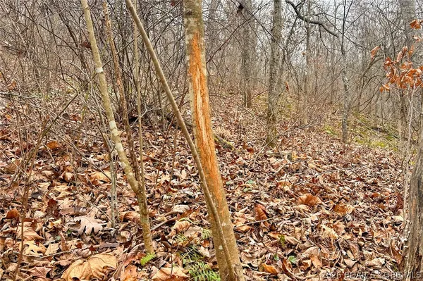 $212,000 | Tbd 46.53-ac Tbd 46.53-ac Highway, Versailles, MO 65084