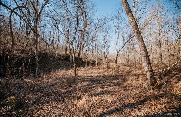 $212,000 | Tbd 46.53-ac Tbd 46.53-ac Highway, Versailles, MO 65084