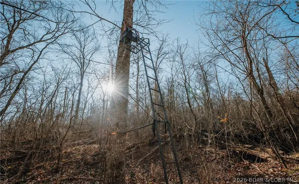 $212,000 | Tbd 46.53-ac Tbd 46.53-ac Highway, Versailles, MO 65084