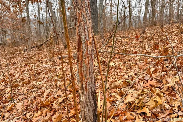 $212,000 | Tbd 46.53-ac Tbd 46.53-ac Highway, Versailles, MO 65084