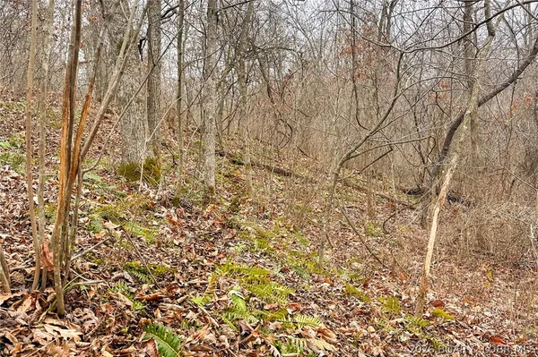 $212,000 | Tbd 46.53-ac Tbd 46.53-ac Highway, Versailles, MO 65084