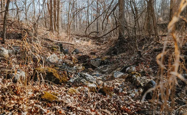 $212,000 | Tbd 46.53-ac Tbd 46.53-ac Highway, Versailles, MO 65084