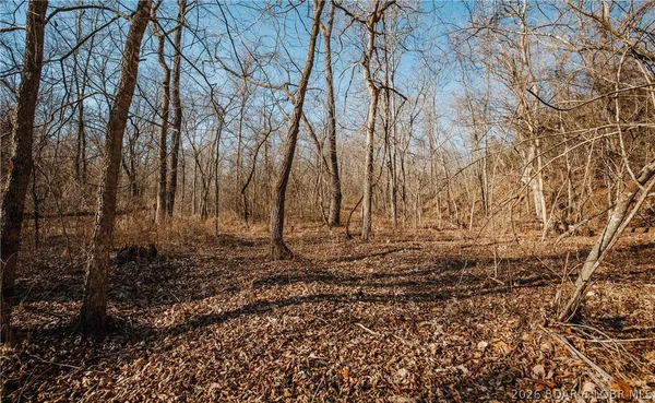 $212,000 | Tbd 46.53-ac Tbd 46.53-ac Highway, Versailles, MO 65084