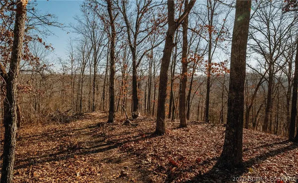 $212,000 | Tbd 46.53-ac Tbd 46.53-ac Highway, Versailles, MO 65084