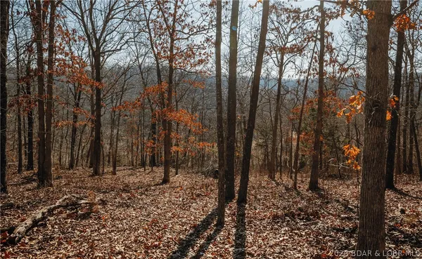 $212,000 | Tbd 46.53-ac Tbd 46.53-ac Highway, Versailles, MO 65084