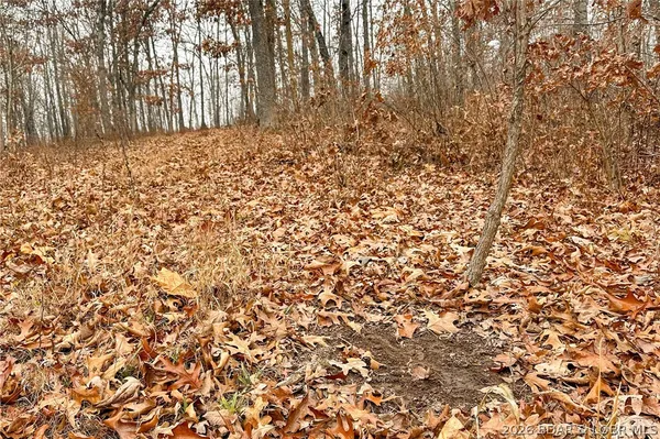 $212,000 | Tbd 46.53-ac Tbd 46.53-ac Highway, Versailles, MO 65084