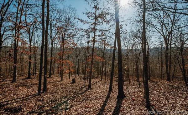 $212,000 | Tbd 46.53-ac Tbd 46.53-ac Highway, Versailles, MO 65084