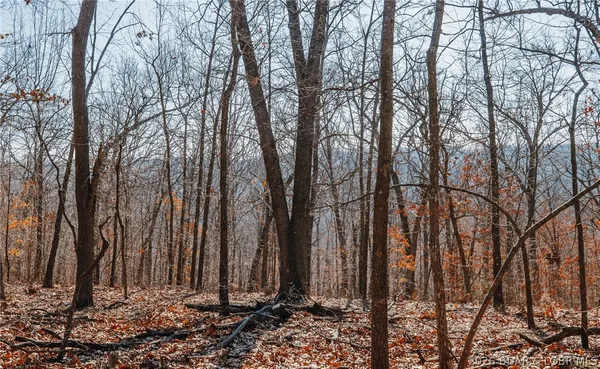 $212,000 | Tbd 46.53-ac Tbd 46.53-ac Highway, Versailles, MO 65084