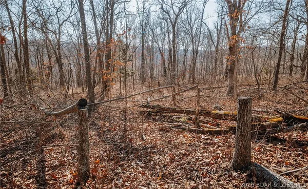 $212,000 | Tbd 46.53-ac Tbd 46.53-ac Highway, Versailles, MO 65084