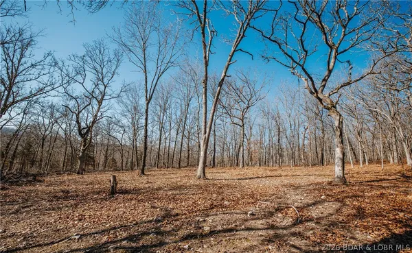 $212,000 | Tbd 46.53-ac Tbd 46.53-ac Highway, Versailles, MO 65084
