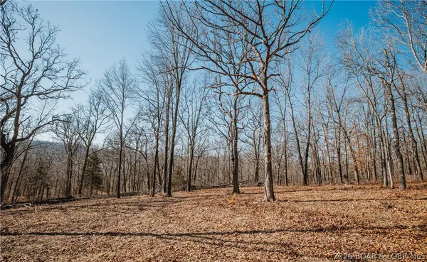 $212,000 | Tbd 46.53-ac Tbd 46.53-ac Highway, Versailles, MO 65084