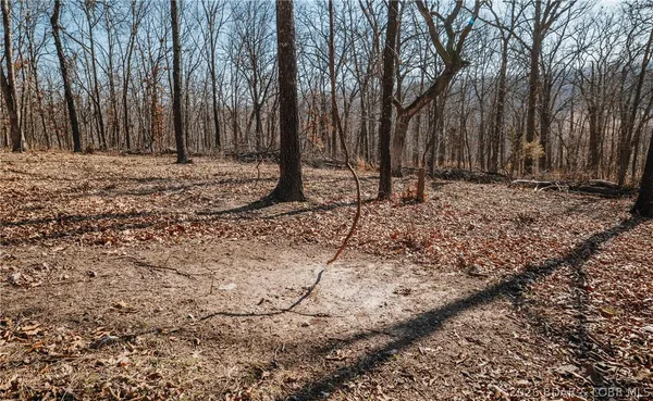 $212,000 | Tbd 46.53-ac Tbd 46.53-ac Highway, Versailles, MO 65084