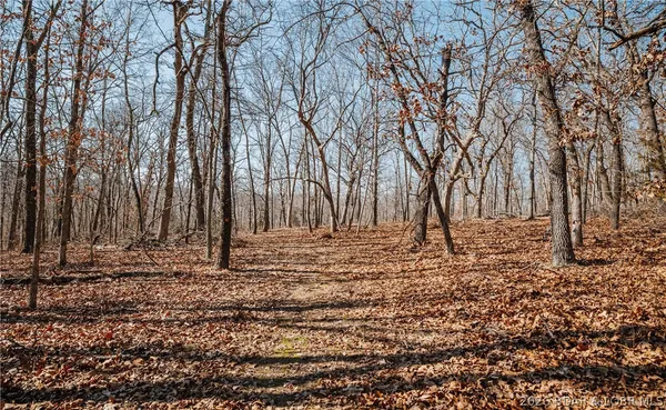 $212,000 | Tbd 46.53-ac Tbd 46.53-ac Highway, Versailles, MO 65084