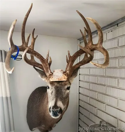 $212,000 | Tbd 46.53-ac Tbd 46.53-ac Highway, Versailles, MO 65084