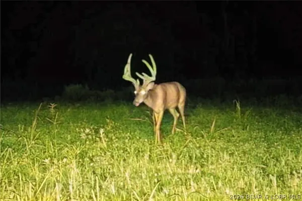 $212,000 | Tbd 46.53-ac Tbd 46.53-ac Highway, Versailles, MO 65084