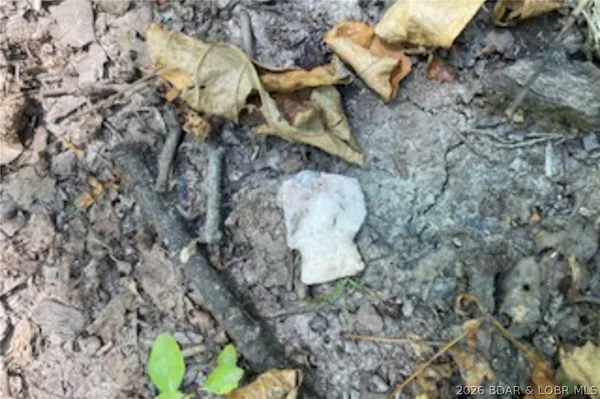 $212,000 | Tbd 46.53-ac Tbd 46.53-ac Highway, Versailles, MO 65084