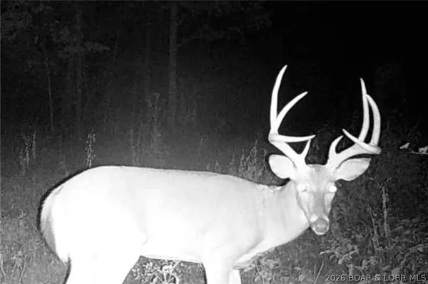 $212,000 | Tbd 46.53-ac Tbd 46.53-ac Highway, Versailles, MO 65084