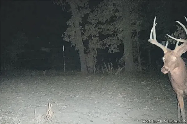 $212,000 | Tbd 46.53-ac Tbd 46.53-ac Highway, Versailles, MO 65084