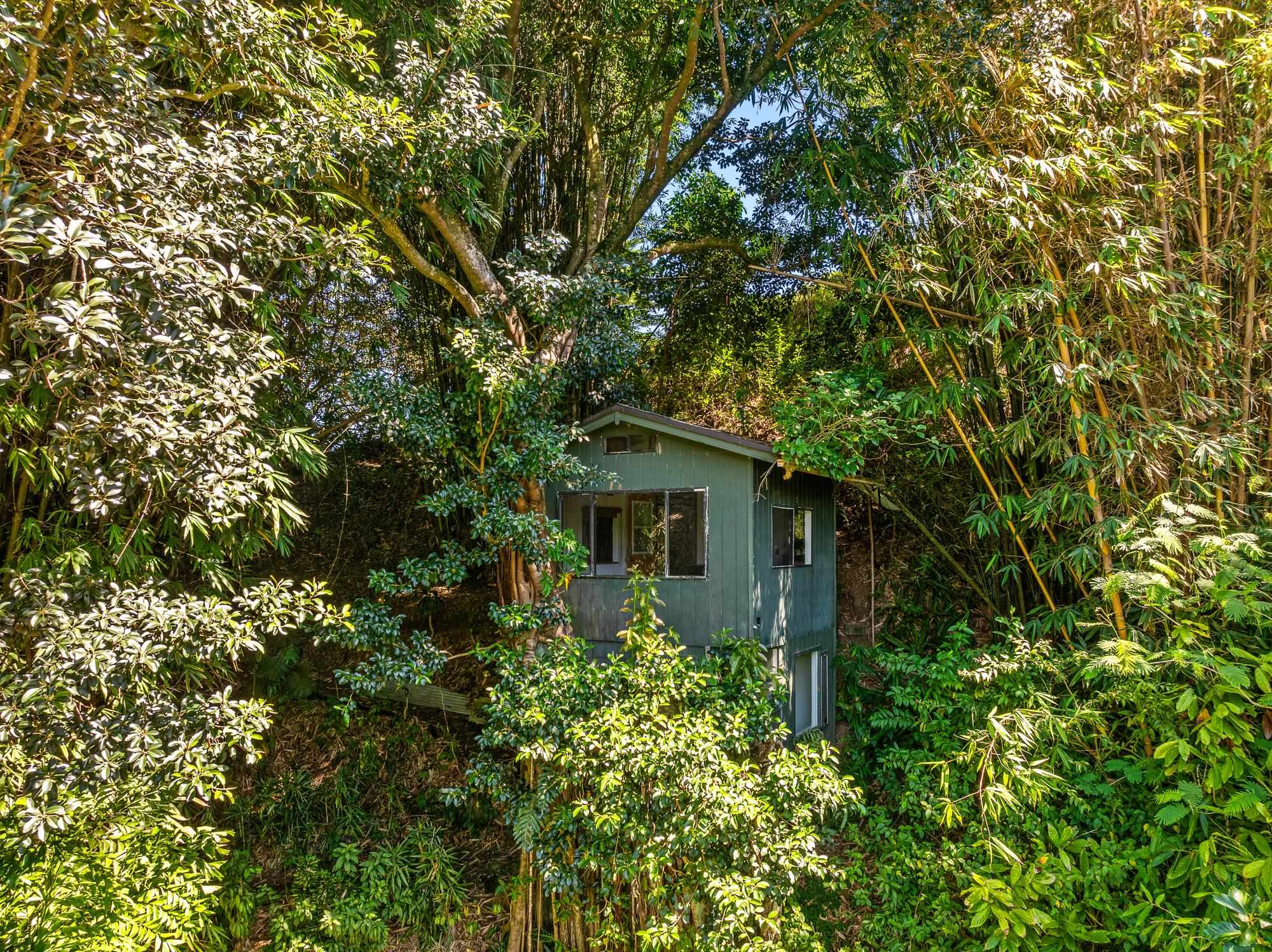 106 Hikiau Road Haiku, HI 96708 - Photo 33 of 41