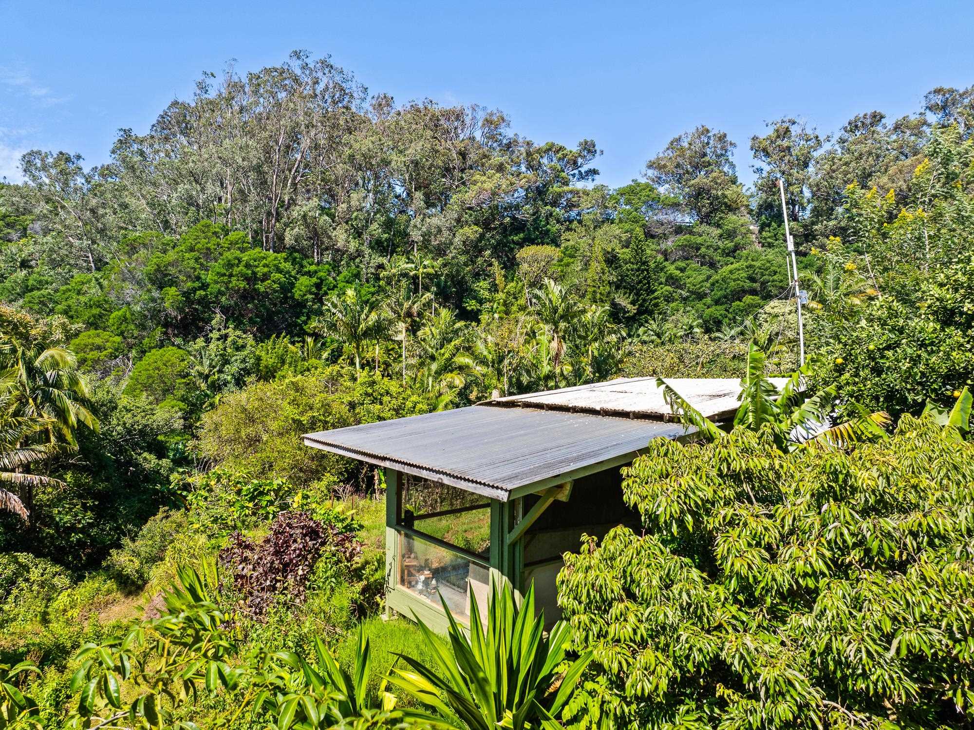 106 Hikiau Road Haiku, HI 96708 - Photo 35 of 41