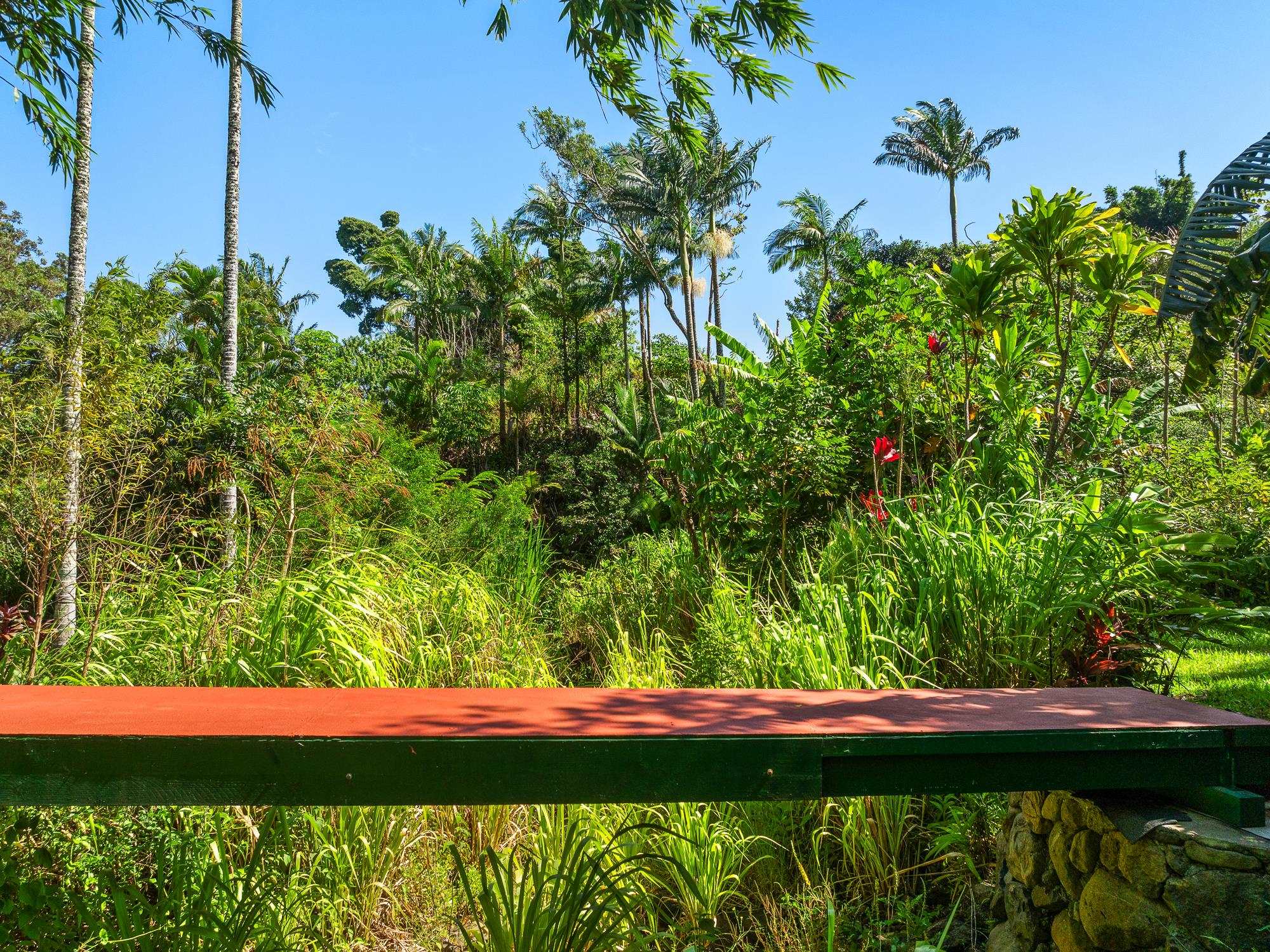 106 Hikiau Road Haiku, HI 96708 - Photo 38 of 41