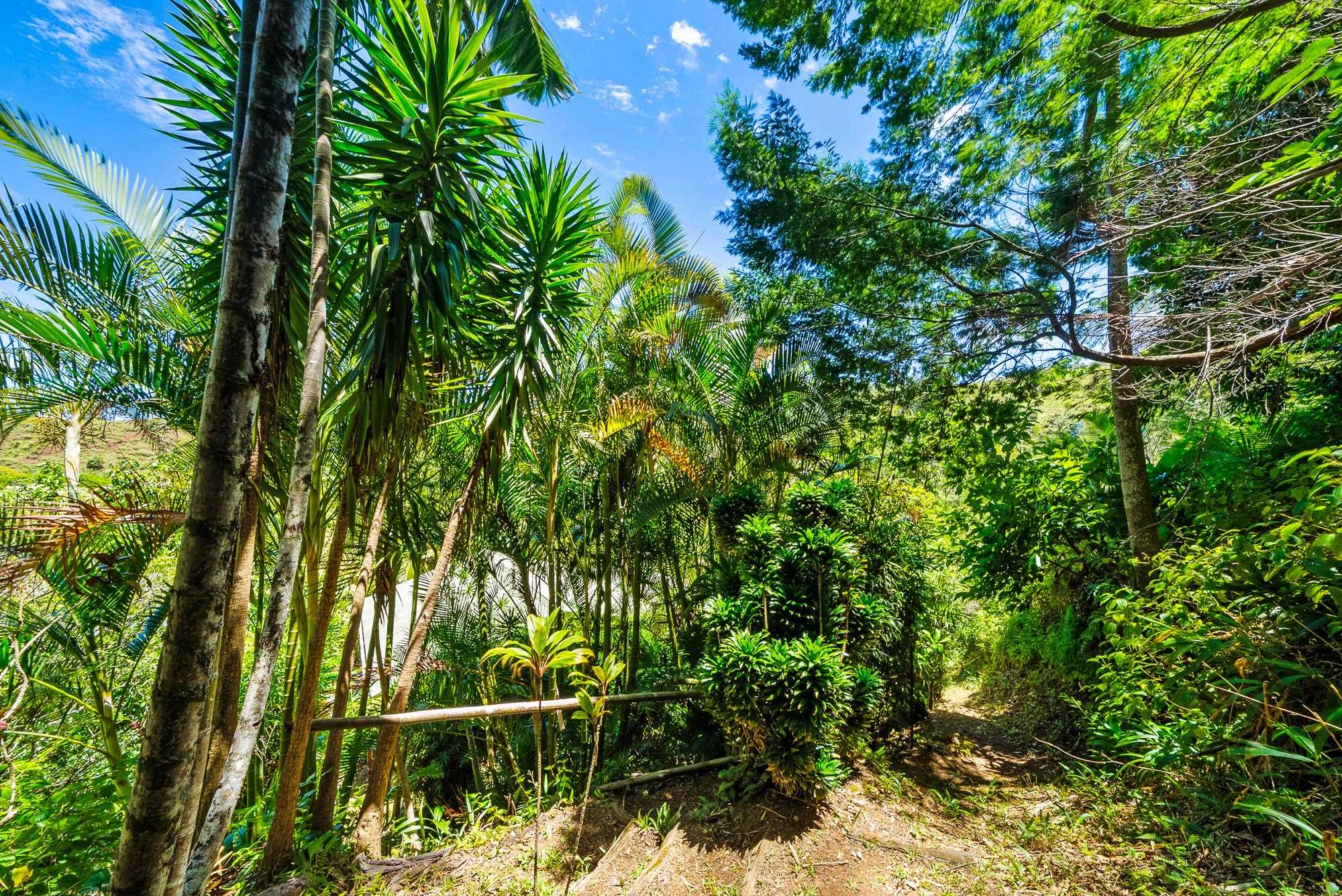 106 Hikiau Road Haiku, HI 96708 - Photo 41 of 41