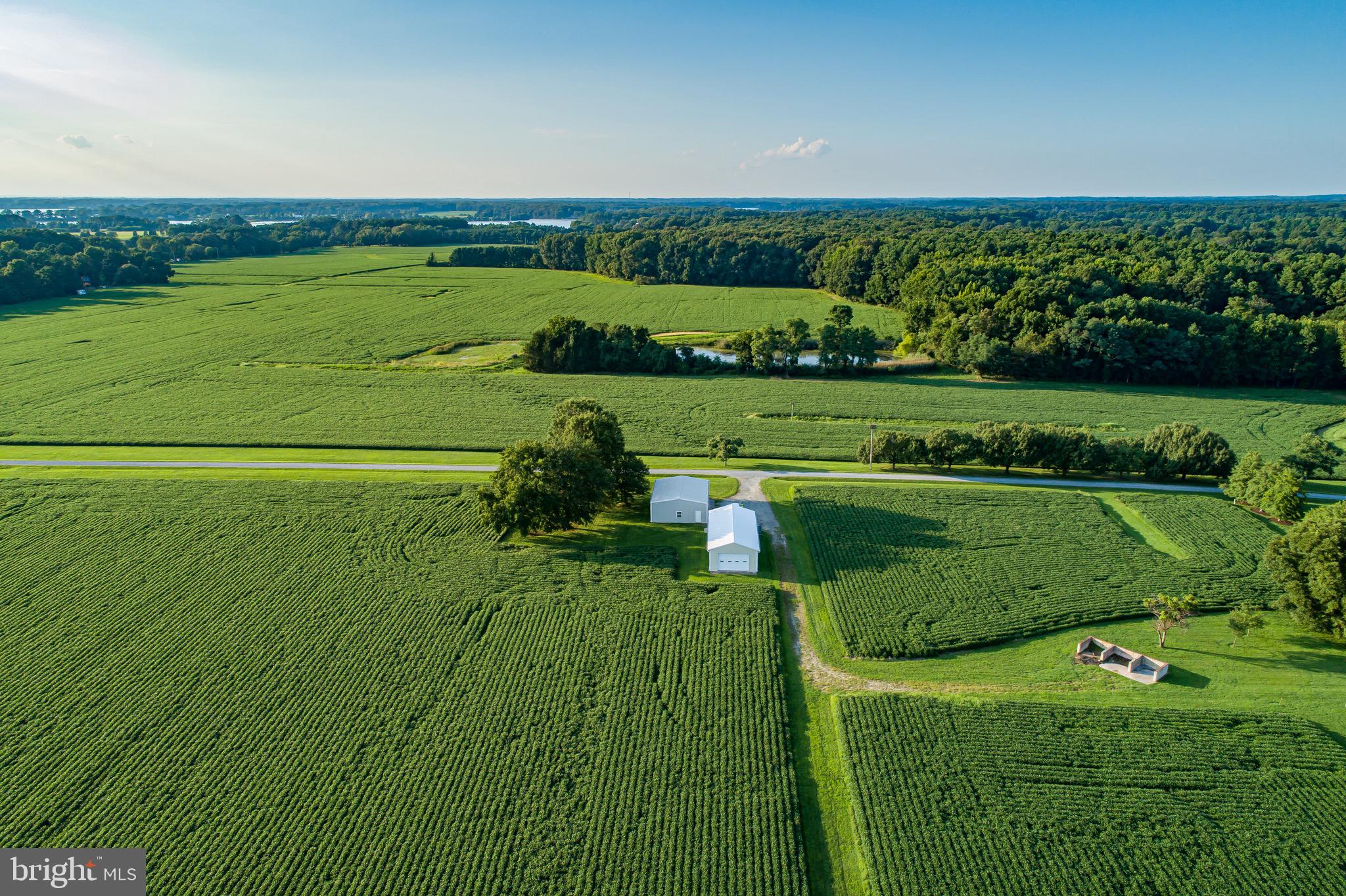4845 Cliffs City Road Chestertown, MD 21620 - Photo 6 of 72 96 tillable acres