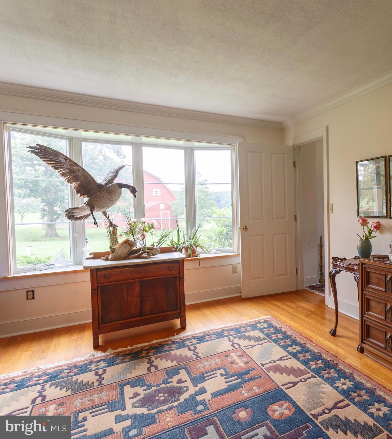 4845 Cliffs City Road Chestertown, MD 21620 - Photo 67 of 72 Gallery Image 67