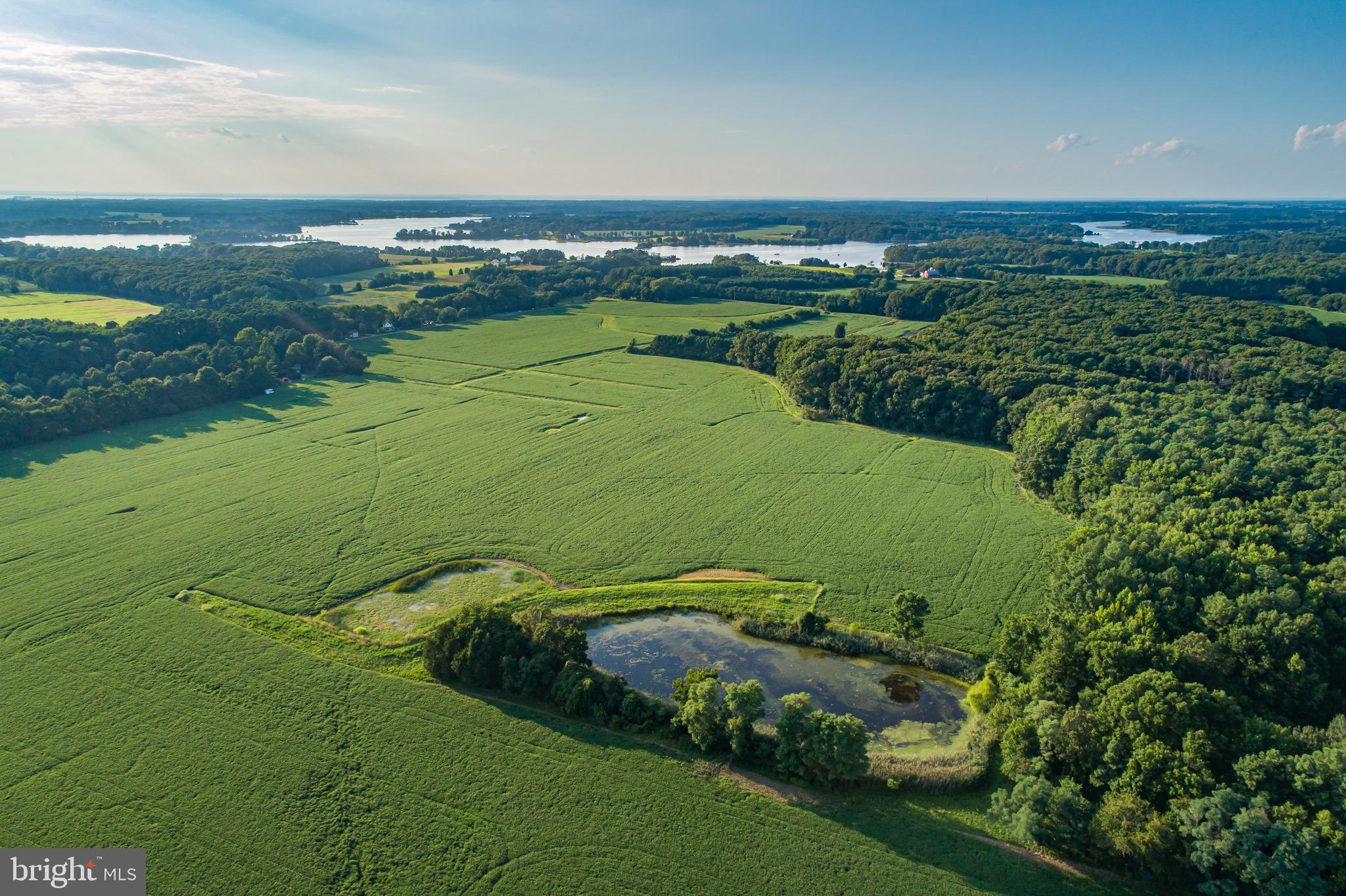 4845 Cliffs City Road Chestertown, MD 21620 - Photo 8 of 72 96 tillable acres