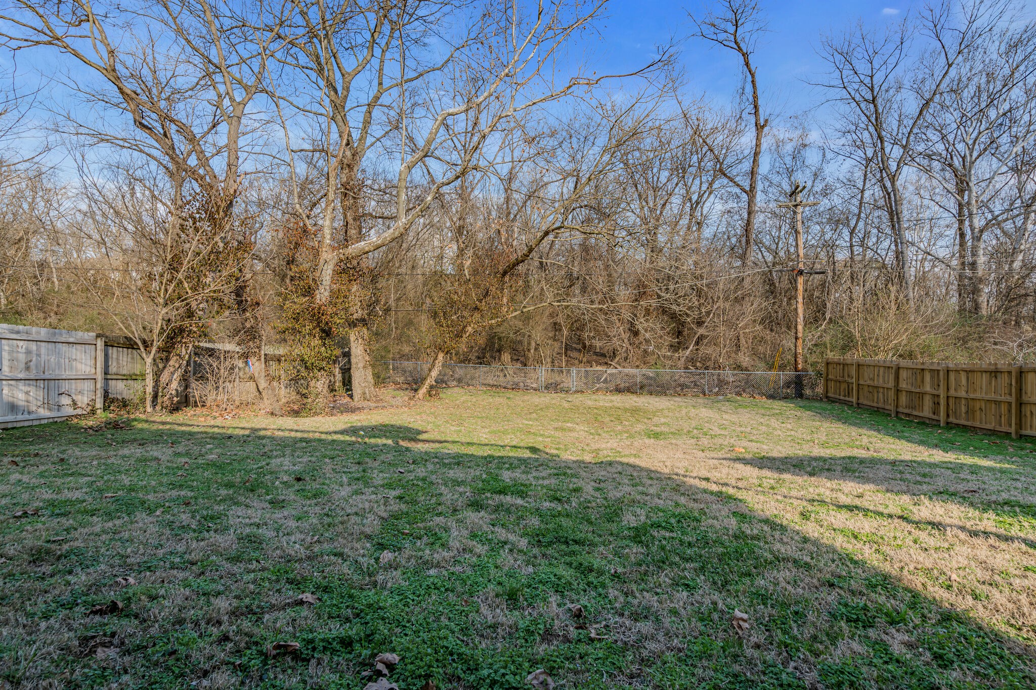 911 South 14th Street Nashville, TN 37206 - Photo 28 of 30 a view of yard with tree