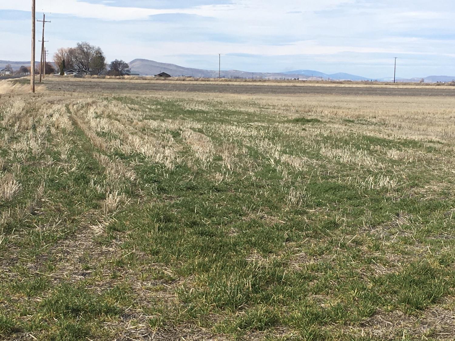 102 County Rd 102 Tulelake, CA 96134 - Photo 2 of 7 Additional Photo